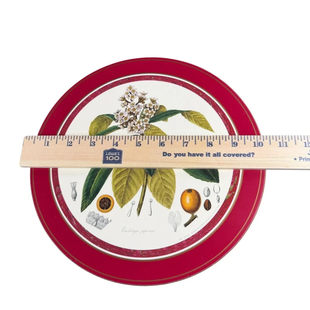Pimpernel Botanical Placemats Set of 6 Royal Horticultural Society Cork Backed